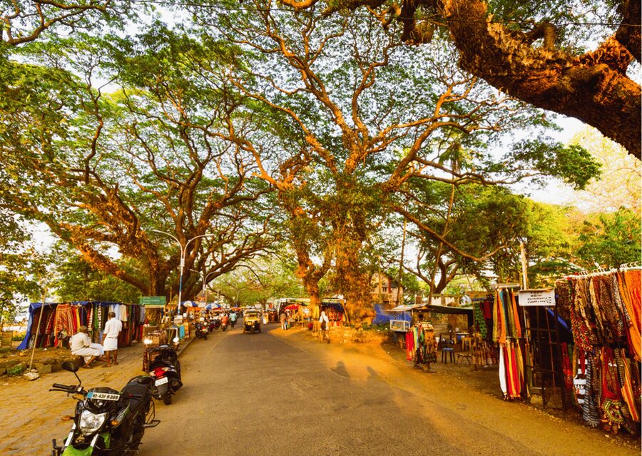Kochi Insta Photo Walk with Tuk Tuk Ride Experience - Fort Kochi Beach and the Chinese fishing nets