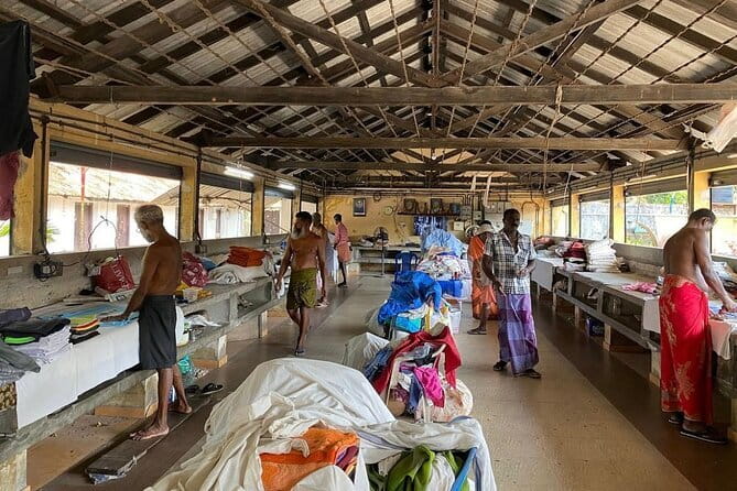 Kochi Sightseeing Tuk-Tuk Tour - A tuk-tuk is the right way to see old Kochi