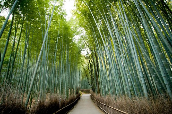 Kyoto Arashiyama Rickshaw Tour with Bamboo Forest - Why a rickshaw changes the Arashiyama visit