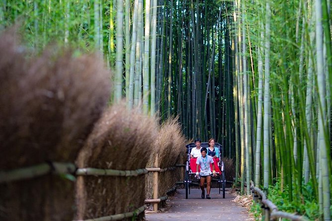 Kyoto Arashiyama Rickshaw Tour with Bamboo Forest - Walking to the most famous bamboo corridor