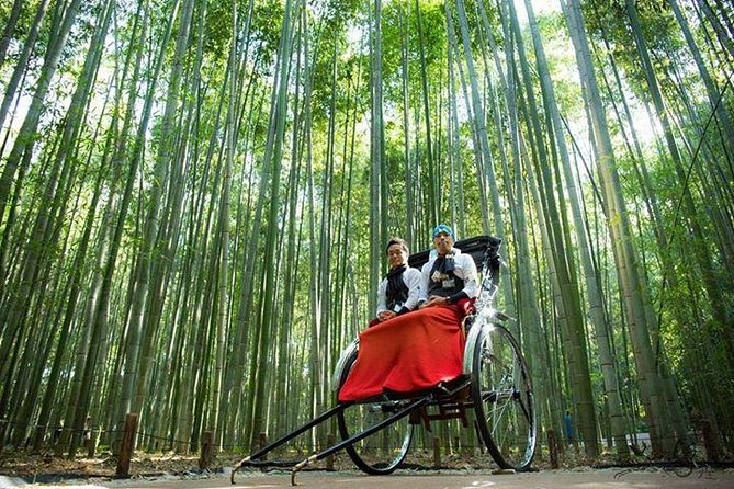 Kyoto Arashiyama Rickshaw Tour with Bamboo Forest - What the guides add to the experience