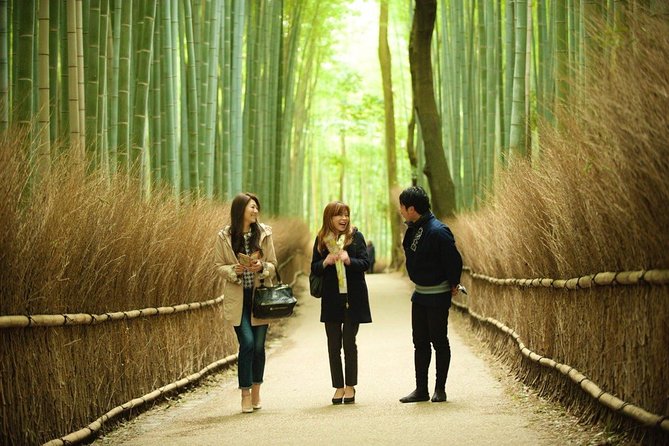 Kyoto Sagano Insider: Rickshaw and Walking Tour - Why a rickshaw helps in busy Arashiyama