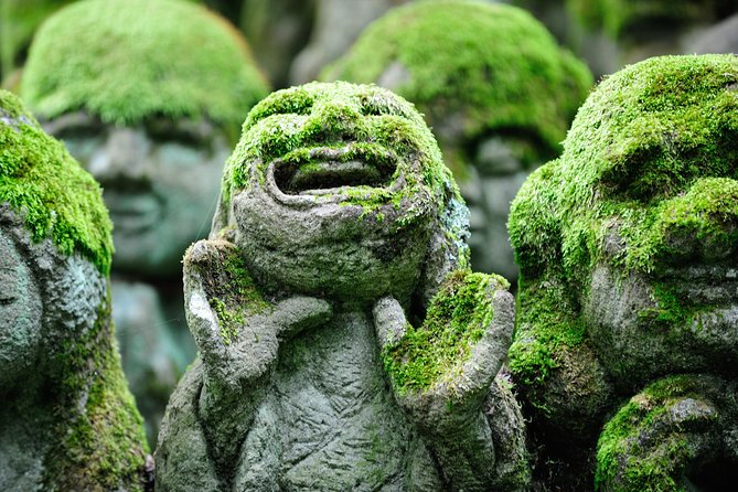 Kyoto Sagano Insider: Rickshaw and Walking Tour - What the guides add to the ride