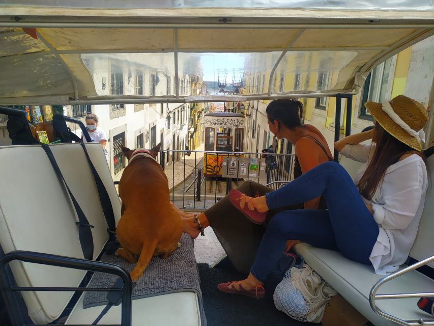 Lisbon: All City Premium Private Guided Tour by Tuk-Tuk - Key points at a glance