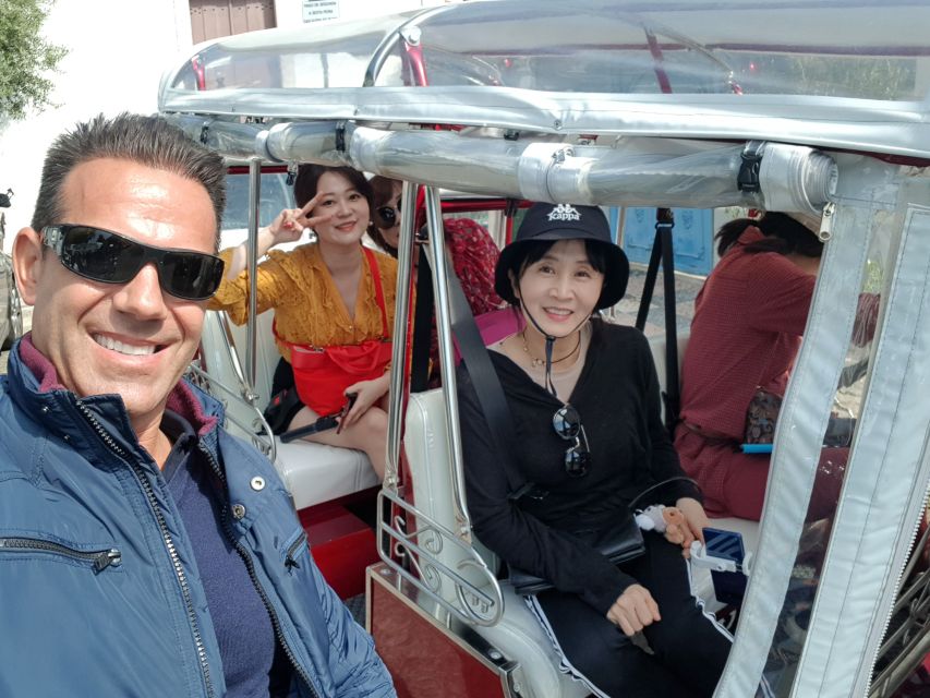 Lisbon: Electric Tuk Tuk Private Tour of the Seven Hills - Bica, Bairro Alto, and the return through the center