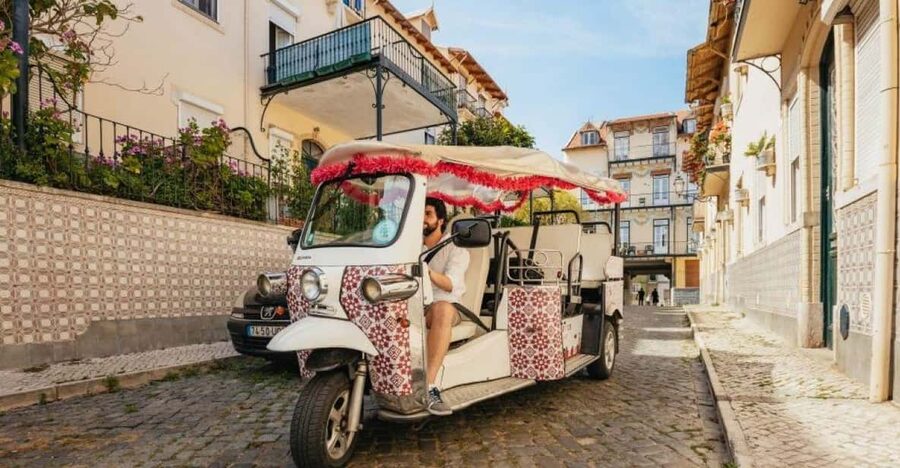 Lisbon: Food and Wine Tasting 4-Hours Tuk Tuk Tour - Price, timing, and practical value