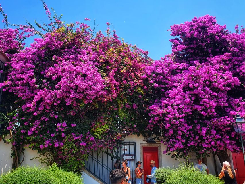 Lisbon: Old Town TukTuk Tour and Scenic Viewpoints in Alfama - Senhora do Monte, the high point of the tour