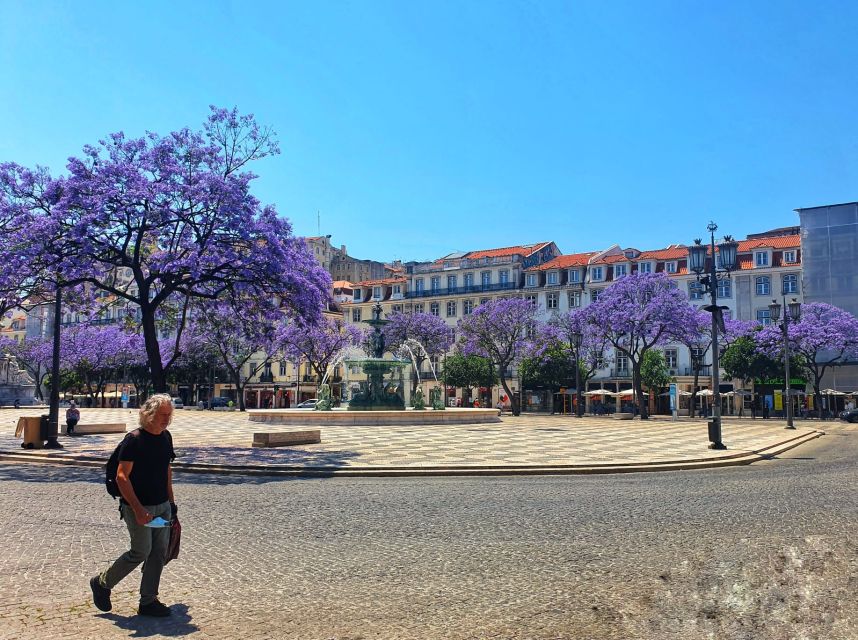 Lisbon: Old Town TukTuk Tour and Scenic Viewpoints in Alfama - The National Pantheon and Alfama’s narrow lanes