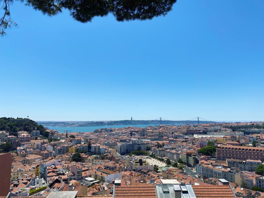 Lisbon: Private City Sightseeing Tour by Tuk-Tuk - Portas do Sol and Santa Luzia
