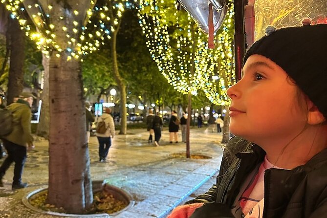 Lisbon Private Tour by Tuk Tuk (Christmas Lights) - Rua do Ouro, Chiado, and Armazéns do Chiado