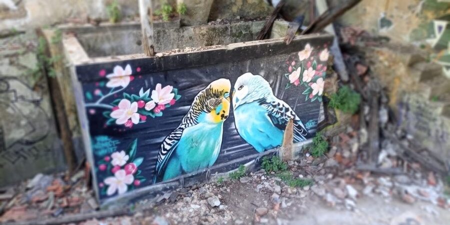 Lisbon: Private Tuk-Tuk Street Art Tour for 2,5 hours - Xabregas and a different side of Lisbon