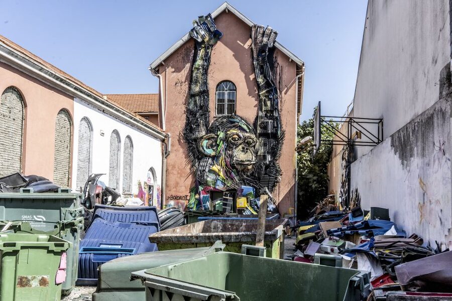 Lisbon: Street Art TukTuk Tour - What the guide adds to the walls
