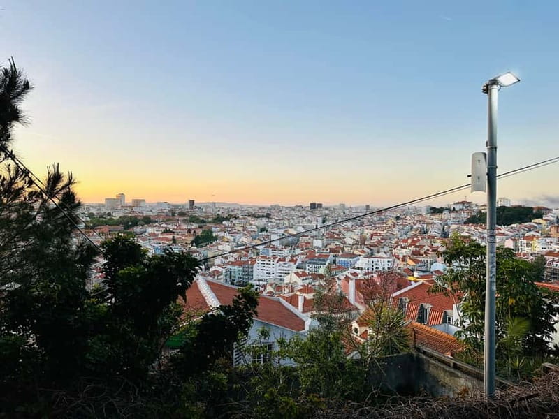 Lisbon Tuk Tuk Tour 1 Hour 30 Min - Key points before you book