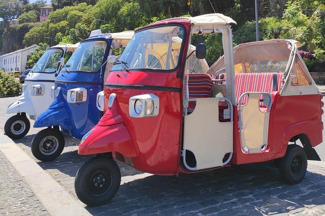 Lobos Chamber - Fisherman Village by tuk tuk - Who should book this short Madeira tour?