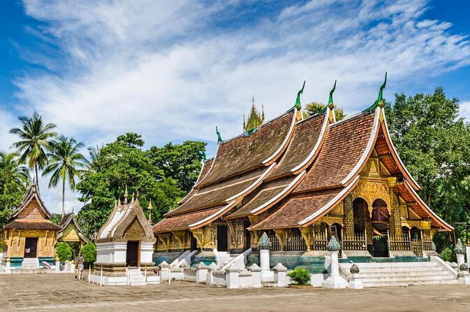 Luang Prabang Evening Food Tour by Tuk-Tuk - Key points to know before booking