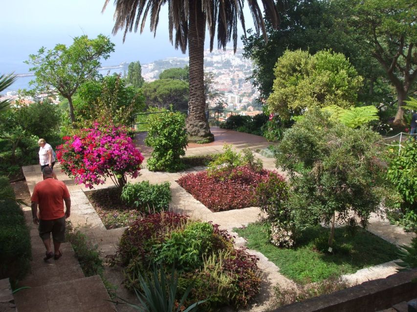 Madeira: Botanical Garden in a Tuk-Tuk Tour - Key points at a glance