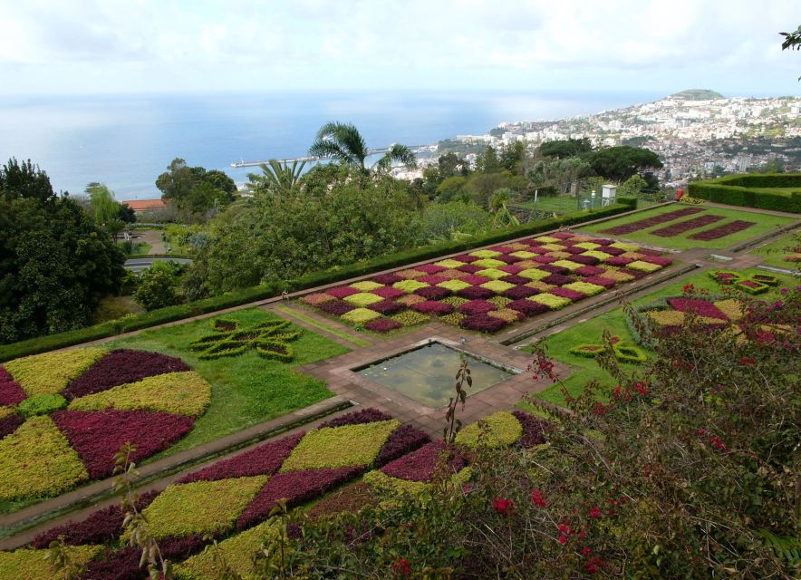 Madeira: Botanical Garden in a Tuk-Tuk Tour - Why this tuk-tuk ride works well in Funchal