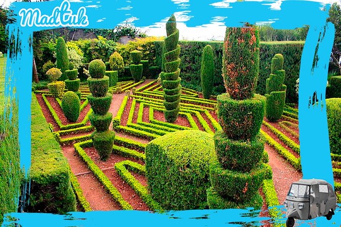 Madeira Botanical Gardens and Old Town Tuk Tuk Tour by MadTuk - Starting with Funchal’s farmers’ market