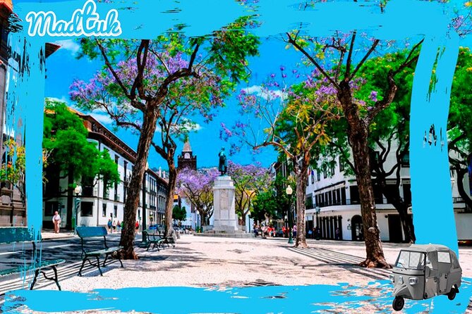 Madeira Botanical Gardens and Old Town Tuk Tuk Tour by MadTuk - What the private format really adds