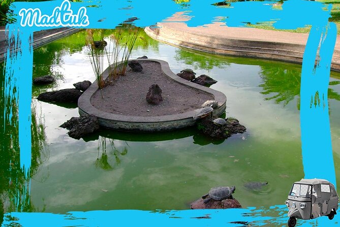 Madeira Botanical Gardens and Old Town Tuk Tuk Tour by MadTuk - Is $45.66 a fair price?
