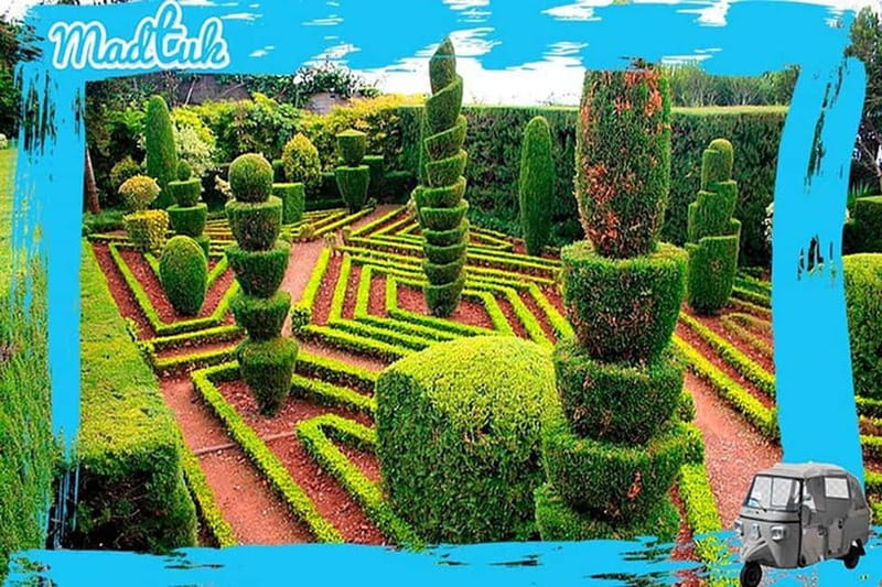 Madeira: Botanical Gardens + Old Town Tuk-Tuk Tour by MadTuk - A short ride from Funchal to Madeira’s greenest viewpoint