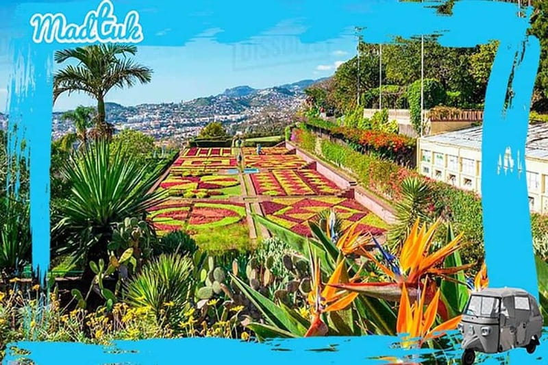Madeira: Botanical Gardens + Old Town Tuk-Tuk Tour by MadTuk - The 25-minute ride to the botanical garden