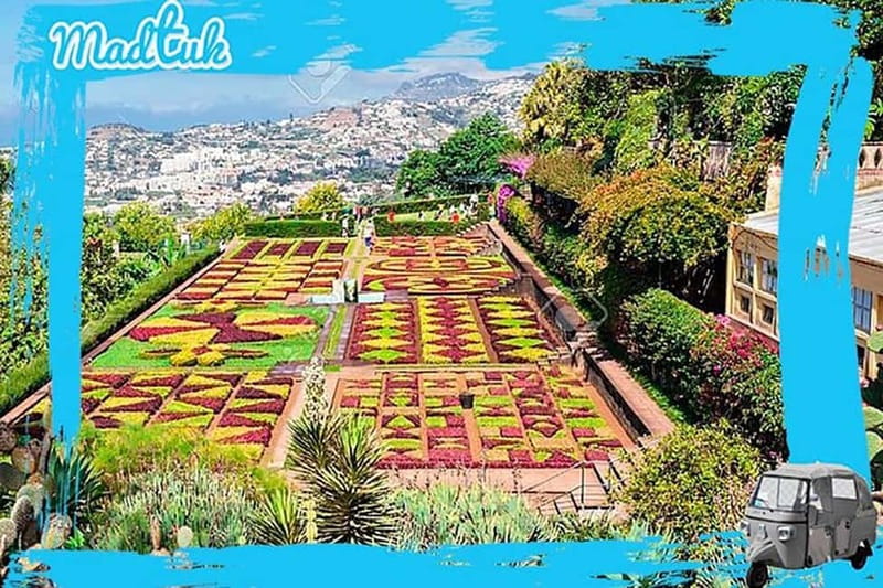Madeira: Botanical Gardens + Old Town Tuk-Tuk Tour by MadTuk - Returning through the market and Zona Velha