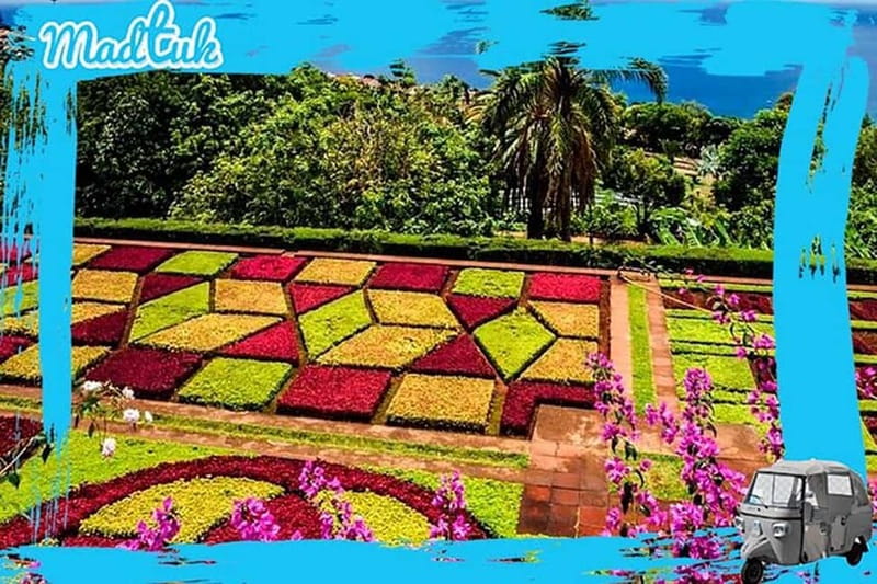 Madeira: Botanical Gardens + Old Town Tuk-Tuk Tour by MadTuk - Is $44 a fair price?