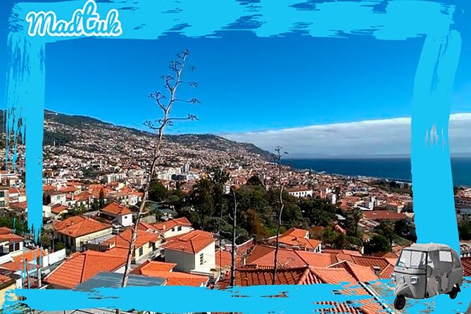 Madeira Funchal City Historical Tuk Tuk Guided Tour by MadTuk - Quinta das Cruzes and the cathedral add city context