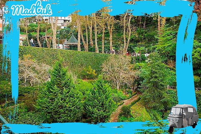 Madeira Monte Tobbogans and Old Town Tuk Tuk Tour by MadTuk - Pickup rules, timing, and comfort