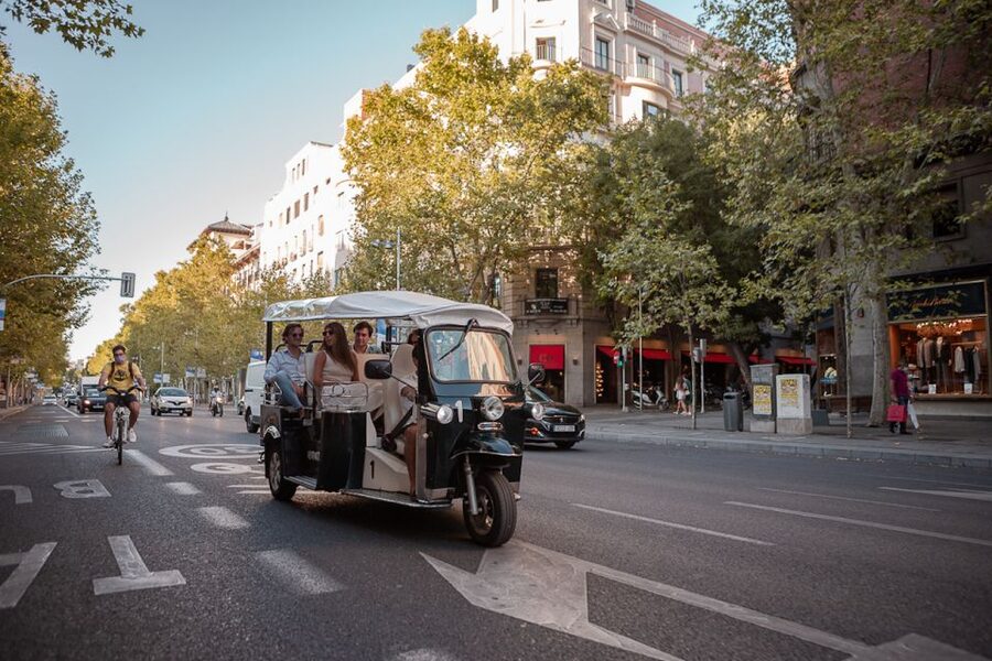 Madrid: Private City Tour by Eco Tuk Tuk - What the guide adds
