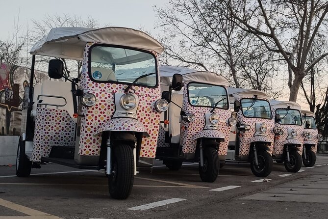 Madrid Sightseeing Tuk Tuk Tours - La Latina, San Isidro, and the literary quarter