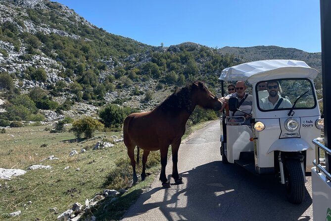 Makarska: Skywalk Tour with a Tuk Tuk - Skip the line ticket - What the views are like