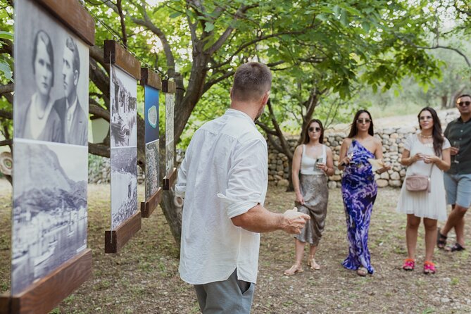 Makarska Tuk Tuk Tour Olive Grove, Scenic Views and Tastings - Who Will Get the Most From This Experience?