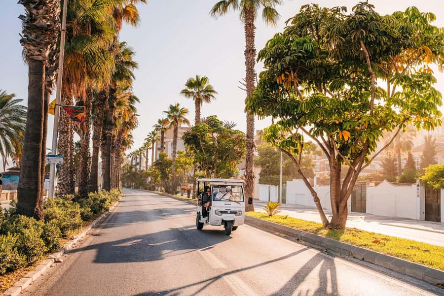Málaga: 1-hour Private Tuk Tuk Tour - Is $29 per person good value?