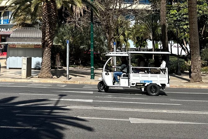 Malaga by Tuk Tuk i : 1 or 2 hours Private city tour - Why a Málaga tuk-tuk makes sense