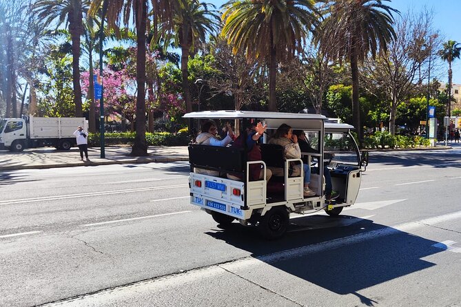Malaga by Tuk Tuk i : 1 or 2 hours Private city tour - Gibralfaro Hill and its old fortress