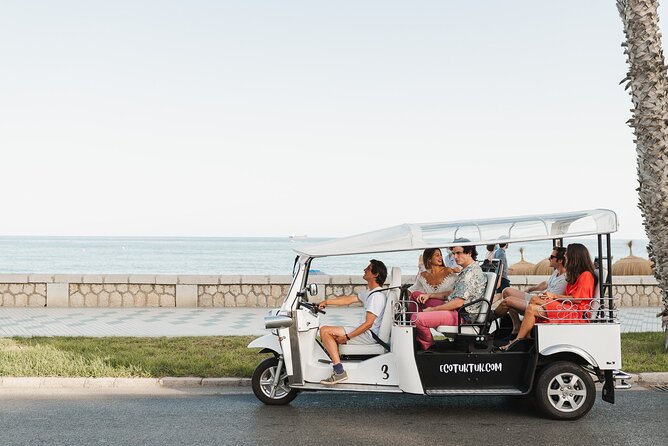 Malaga Express Tour with Local Guide in Eco Tuk Tuk Private - Is $28.66 good value?