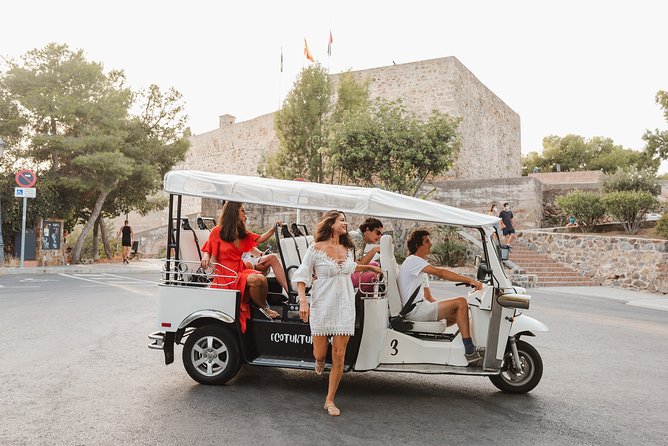 Malaga Express Tour with Local Guide in Eco Tuk Tuk Private - Málaga’s public buildings and modern art