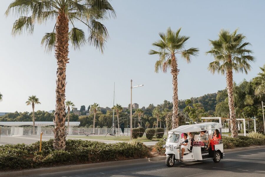 Malaga: Private City Tour by Eco Tuk Tuk - Pompidou Museum and the port
