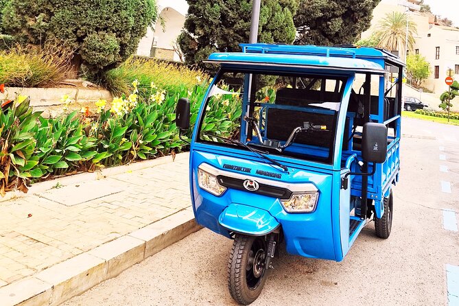 Malaga: Tuk tuk tour - Gibralfaro Castle and the English Cemetery
