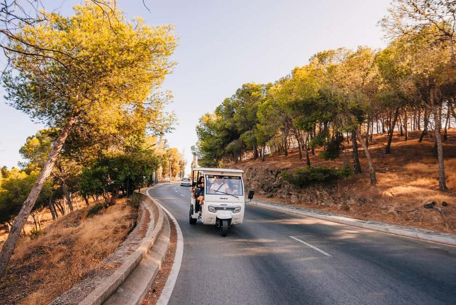 Málaga: Tuktuk Tour with Views and Espeto de Sardinas - The climb to Gibralfaro viewpoint