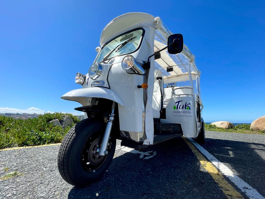 Malaga: VIP private Tuk Tuk tour - Bullring, Palace of the Ink, and the port