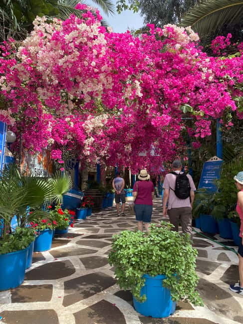 Malia: Sissi and Beyond Tuk Tuk Tour with Raki and Honey - What the $57 price includes