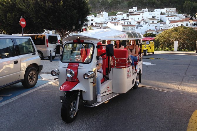 Mijas: Panoramic city tour in an electric Tuk Tuk - Seeing the donkey taxis without taking one