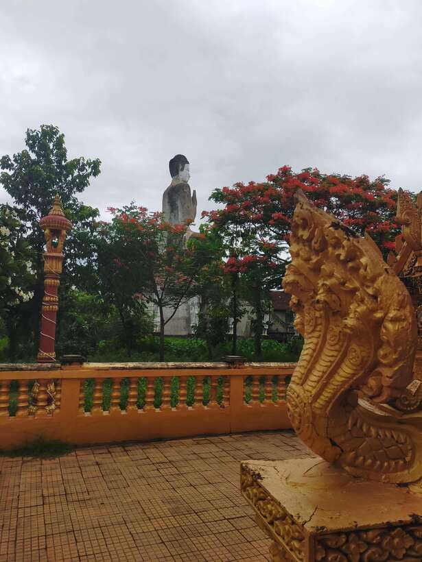 Morning Tuk tuk: City, Handicrafts, Killing field, Temples - Why this Battambang tuk-tuk tour works