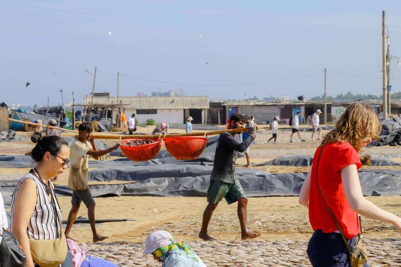 Negombo: Private Half-Day Tuk-Tuk Tour with Hotel Transfers - Dry fish, strong smells, and the working shore