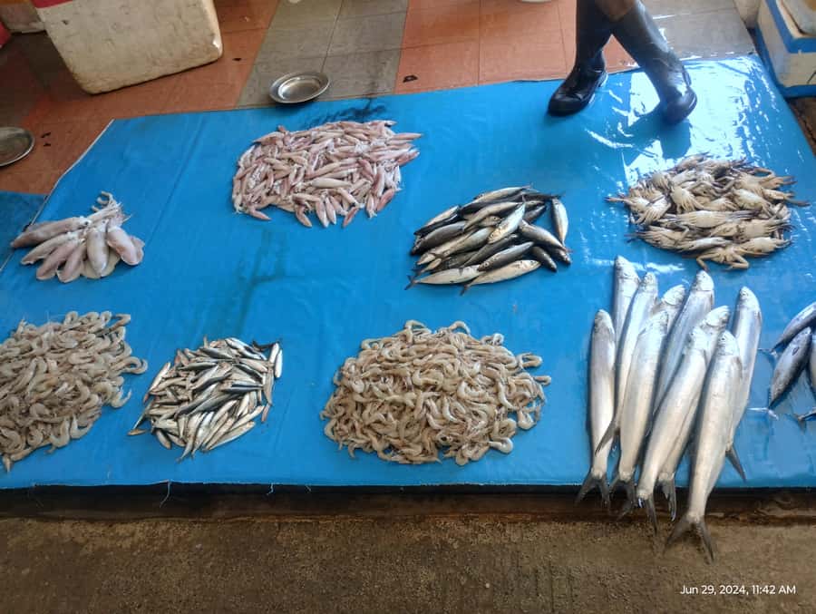 Nilaveli: Trinco City tour by Tuk Tuk - The public market and small boat fish market