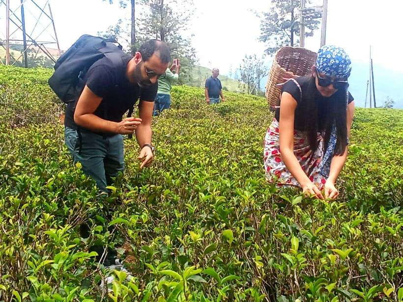Nuwara Eliya: Tea Factory and Pickle Waterfalls Tuk Tuk Tour - Ramboda Falls requires real walking