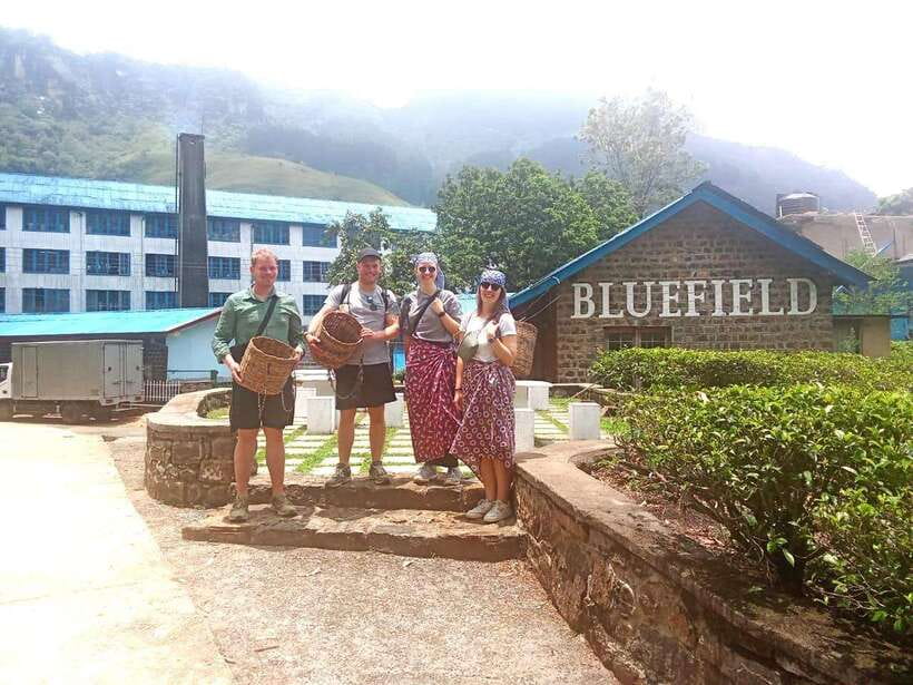 Nuwara Eliya: Tea Factory and Pickle Waterfalls Tuk Tuk Tour - Is this Nuwara Eliya tuk-tuk tour worth booking?